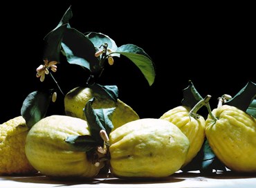 In ricordo di Orlando Ricci