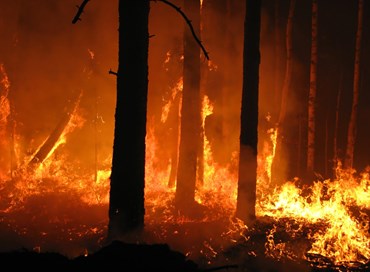 La normalità del nostro tempo: siccità, incendi e nubifragi