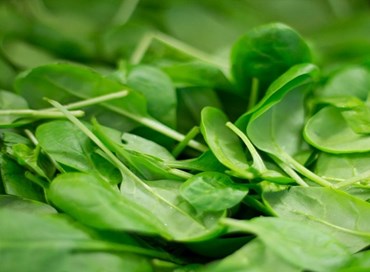 Spinaci e taleggio contaminati: ritirati